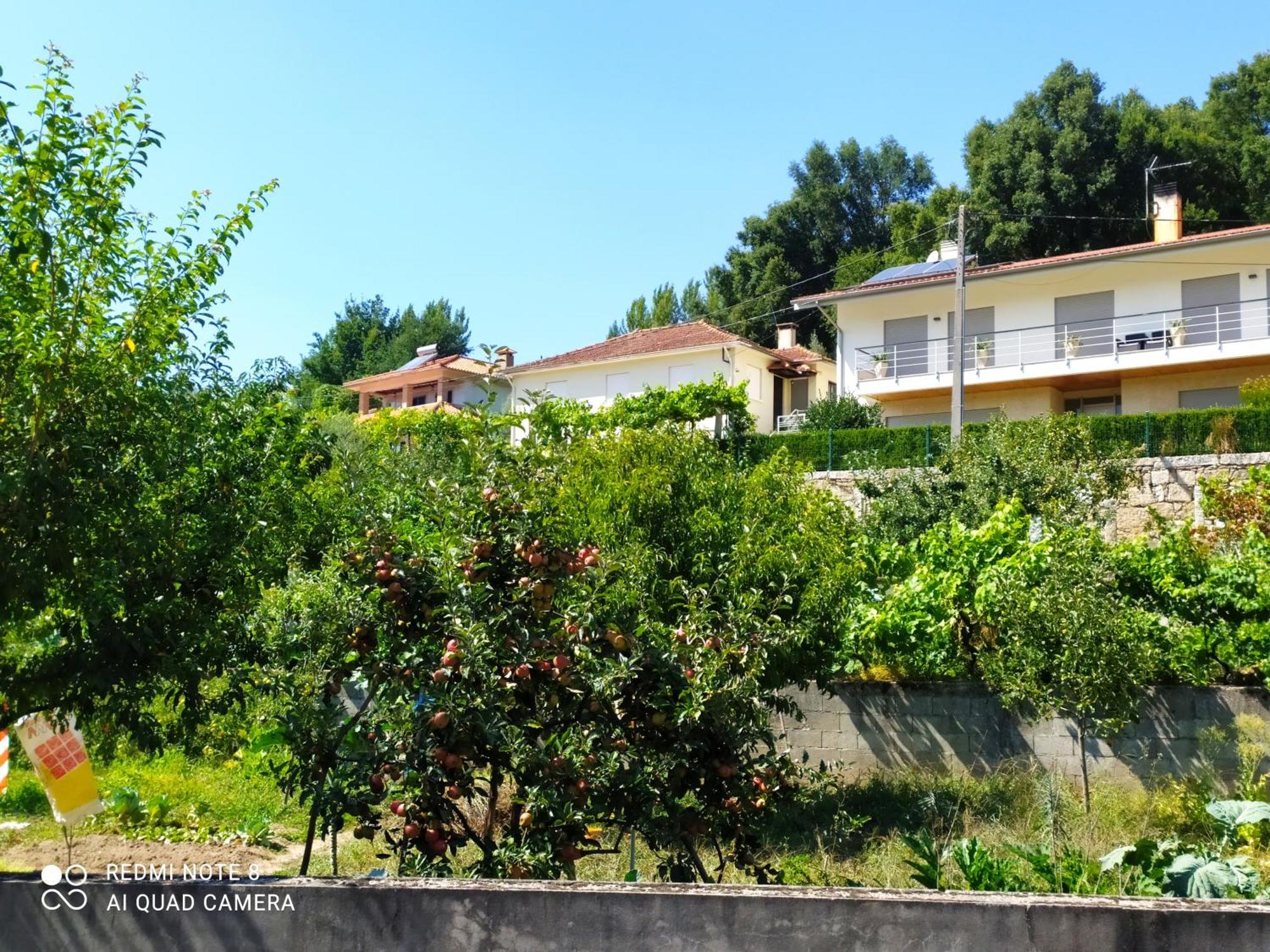 Bellavista Alojamento Arouca Exterior photo